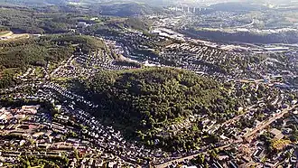 Blick auf den Nord- und Osthang (2015)