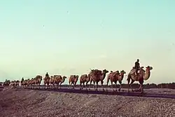 Seidenstraßen: das Straßennetzwerk des Chang'an-Tianshan-Korridors