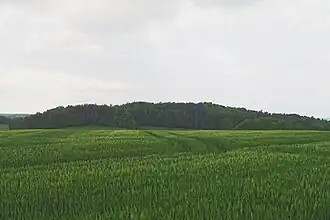 Simonsberg bei Bärnsdorf