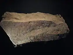 Foto des Singapur-Steins