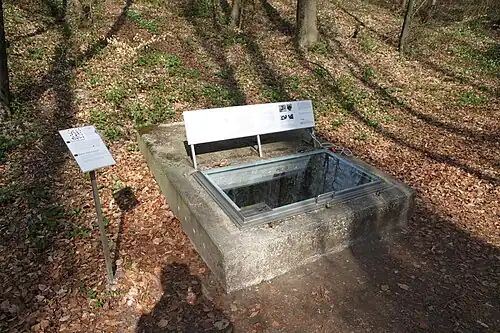 In der Bildmitte befindet sich ein viereckiger Betonkranz, der aus dem Waldboden ragt. Das sieht fast aus wie ein viereckiger offener Schacht. Er ist aber mit einer Glasabdeckung geschlossen. Erklärtafeln hinter und neben dem Schacht erläutern den Chlopfer, den man tatsächlich stampfen hört.