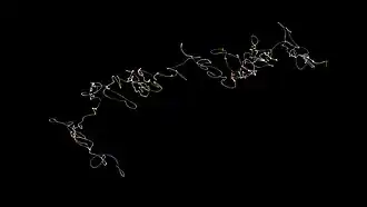 Der szintillierende Stern Sirius frei Hand mit 15 Sekunden Belichtungszeit aufgenommen.
