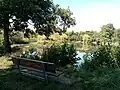 Sitzbank am Teich auf dem südlichen Ufer