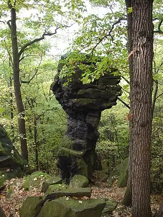 Naturdenkmal Skalní hřib