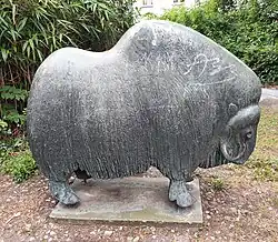 Moschusochse, Kruckenbergstraße, 1974, Berlin-Mariendorf