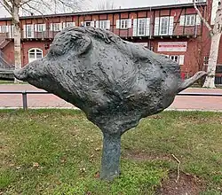 Wildschwein (rasende Sau)