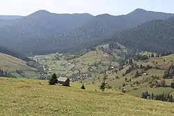Urwald von Slătioara
