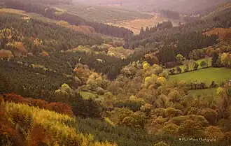 Blick auf die Slieve Blooms vom Glinsk-Castle-Wanderweg