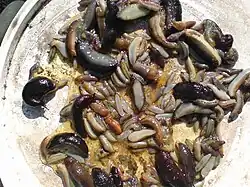 Eine Tasse mit vielen toten Schnecken