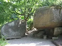 Dendrologischer Park „Sofijiwka“