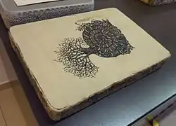 Lithographiestein von Oscar Fraas aus Solnhofen