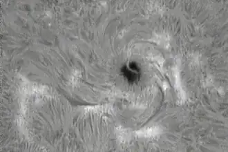 Sonnenfleck, terrestrische Aufnahme