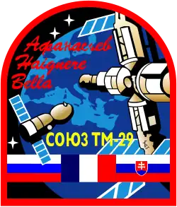 Logo von Sojus TM-29