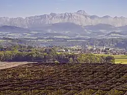 Kehlhof: Blick auf Thurtal und Säntis