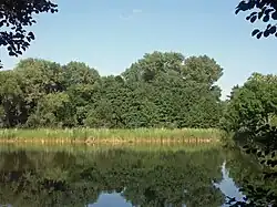 Der Schäfereiteich in Störmthal, rechts der Einlauf des Schlumper-Bachs
