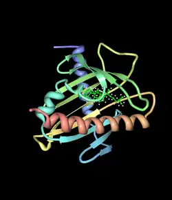 Steroid-Akut-Regulator