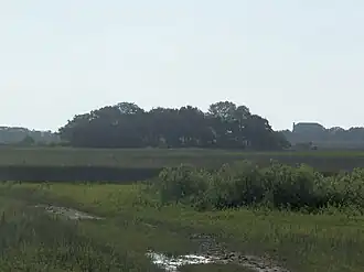 Das Gelände, auf dem Fort Mose im 18. Jahrhundert einmal stand