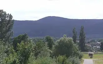 Stabenberg von Deidesheim aus