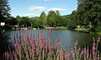 Stadtrainsee in Waldkirch