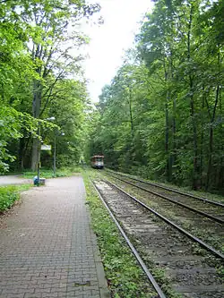 Die ehemalige Waldbahnstrecke nach Neu-Isenburg, heutige Straßenbahnlinie 17