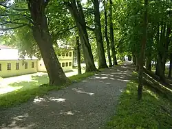 Stadtwall mit Rückseite des Lenbachhauses