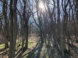 Mühlenberg, Blick nach Süden