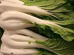 Pak Choi – weiße Blattrippen und -stiele