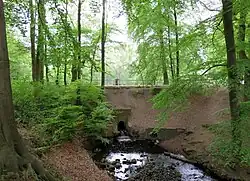 Ehemaliger Mühlenstaudamm am Austritt aus dem Kupferteich