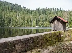 1846 angelegte Staumauer des Glaswaldsees