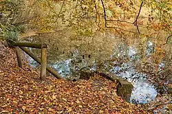 Halbachhammerteich im Herbst