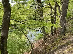 Stauteich bei Goldenbergshammer