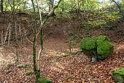 Blöcke am Grund des alten Steinbruchs (Oktober 2020)