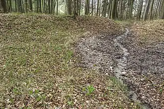 Reste der ehemaligen Aufstauung