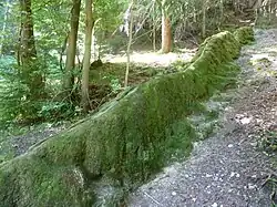 Steinerne Rinne bei Wackersberg, Bad Tölz, Oberbayern