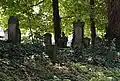 Jüdischer Friedhof Steinheim