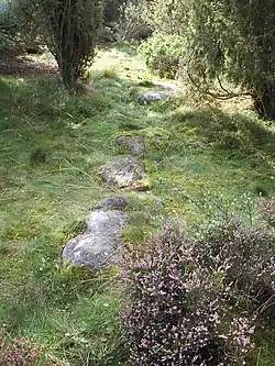 Stensträng auf Askesby hög auf Hisingen