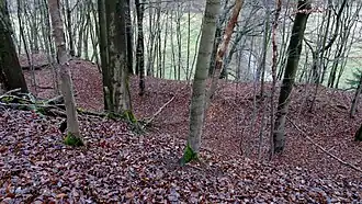 Terrasse oberhalb des Ruhrtales