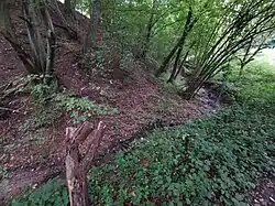 Mönchswiesenbach (Zufluss des Haldenbachs)