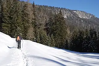 Blick vom Bloßboden zum Steyreck