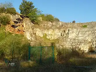 Die Steinbruchswand bei Les Boissières, linker Hand die Fundstätte