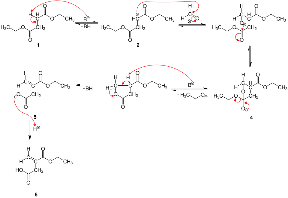 Mechanismus der Stobbe-Kondensation