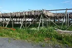 Foto von zum Trocknen an Holzgestellen aufgehängten Fischen
