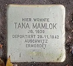Stolperstein für Tana Mamlok