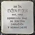 Evžen Feder, Sohn