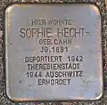 Stolperstein für Sophie Hecht (Agrippastr. 14)