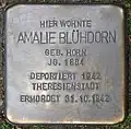 Stolperstein für Amalie Blühdorn (Theodor-Heuss-Ring 60)