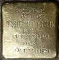 Stolperstein für Dr. Siegmund Stein (Jahnstraße 26)