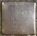 Stolperstein für Dr. Ursula Zade (Salierring 50)