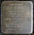 Stolperstein für Ester Steinbock (Thieboldsgasse 6)