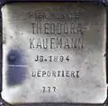 Stolperstein für Theodora Kaufmann (Kartäuserwall 7)